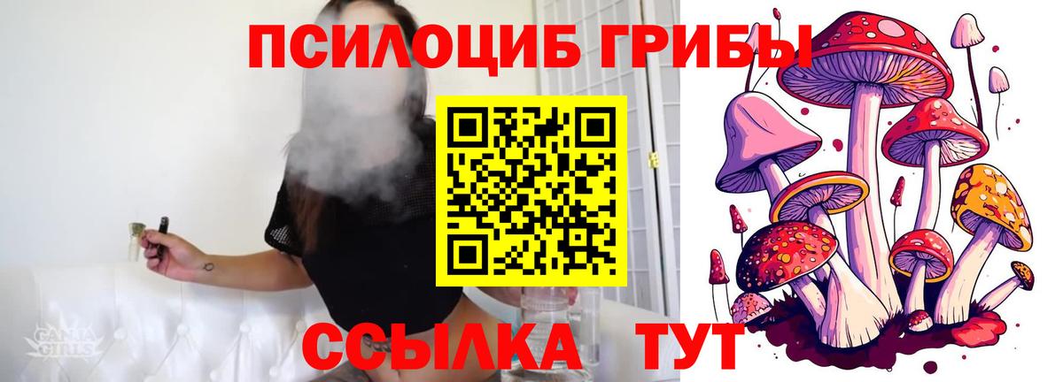 Кузнецк  Галлюциногенные грибы мицелий  Вход с VPN 